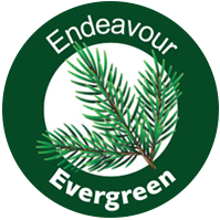 Evergreen Project | Domestic Abuse help for people over 55 years old