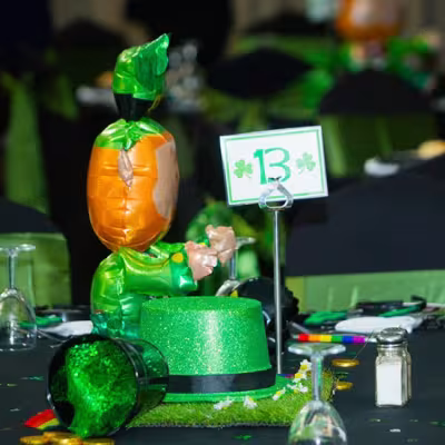 Great St Pats Day Out 2025