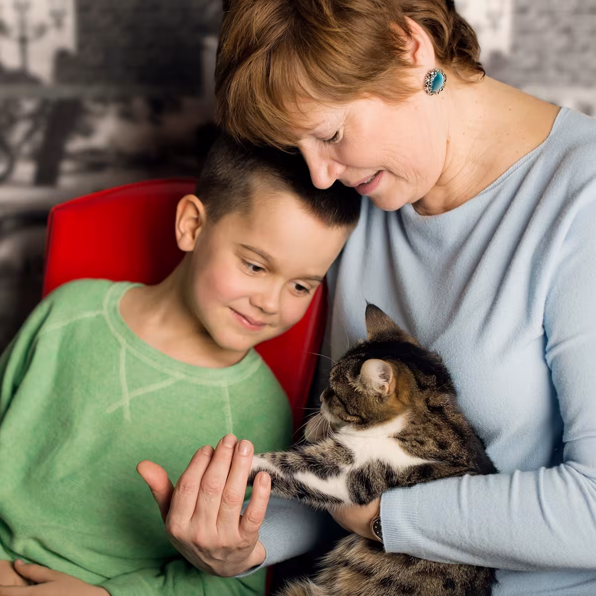 Pet Fostering | Volunteers / Carers living in the North West